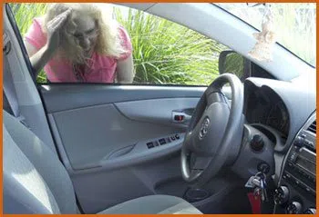 Village Locksmith Store Garden City, MI 734-258-7270 - 15-emergency-lockout